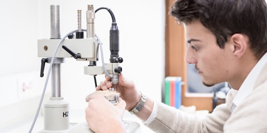 Hochwertiger Zahnersatz aus unserem Labor